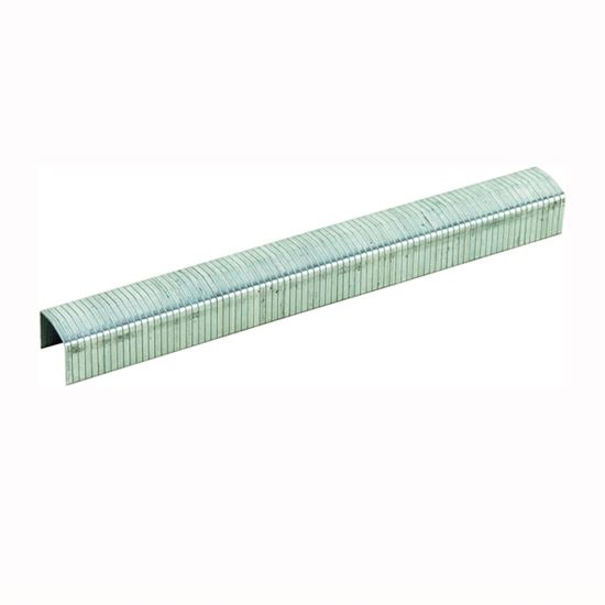Main 1 - STCR50191/2-4M STAPLES 1/2" - Arlington Coal & Lumber