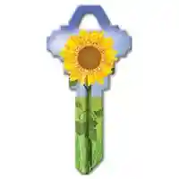 Main 1 - SC1-17 KEYBLANK SUNFLOWER - Arlington Coal & Lumber