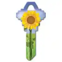 Main 1 - SC1-17 KEYBLANK SUNFLOWER - Arlington Coal & Lumber