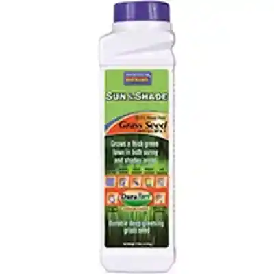 SEED GRASS SUN-N-SHADE .75 - Arlington Coal & Lumber