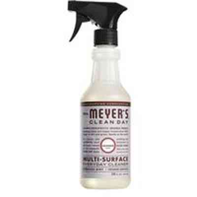 CLEANER LAV MULTI-SURFACE 16OZ - Arlington Coal & Lumber