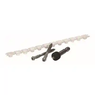 PACKAGE CORTEX 2-3/4" WHITE KLEER TRIM SCREWS (50 LF) (75 SCREWS; 100 PLUGS) - Arlington Coal & Lumber
