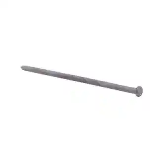 Main 1 - 10" H/D GALV SPIKE **EACH** (150 PER BOX) - Arlington Coal & Lumber