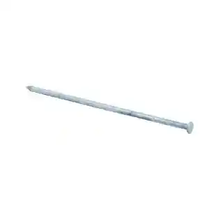 Main 1 - 50# BOX 12" H/D GALV SPIKE (125 PER BOX) - Arlington Coal & Lumber