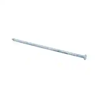 Main 1 - 50# BOX 12" H/D GALV SPIKE (125 PER BOX) - Arlington Coal & Lumber
