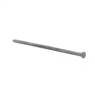 Main 1 - 50# BOX 10" H/D GALVANIZED SPIKE (150 PER BOX) - Arlington Coal & Lumber