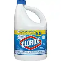Main 1 - BLEACH LIQUID CONC REG 121 OZ - Arlington Coal & Lumber