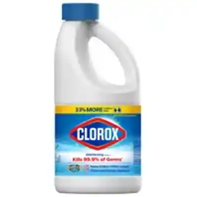 BLEACH CONC DISINFECTNG 6/43OZ - Arlington Coal & Lumber