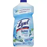 Main 2 - 78630/93707 LYSOL ALL PURP CLN CLEANER LYSOL  POUR FRESH - Arlington Coal & Lumber
