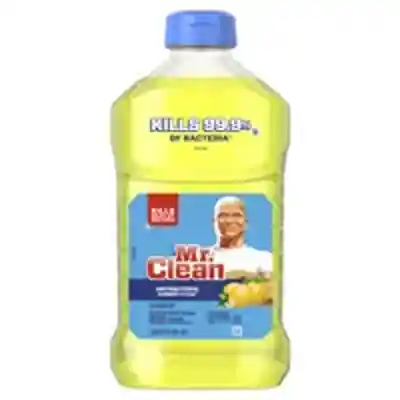 CLEANER MR CLEAN CITRUS 45 OZ - Arlington Coal & Lumber