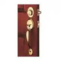 Main 1 - SCHLAGE F60VPLYPLY505  HANDLE SET 505 LIFETIME BRIGHT BRASS FINISH - Arlington Coal & Lumber