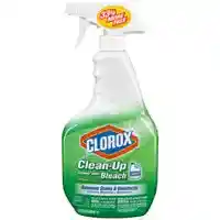 Main 2 - CLOROX CLEAN-UP SPRAY 32 OZ. (01204) - Arlington Coal & Lumber