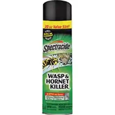 20OZ WASP & HORNET SPRAY - Arlington Coal & Lumber