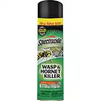 Main 1 - 20OZ WASP & HORNET SPRAY - Arlington Coal & Lumber