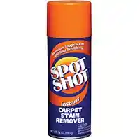 Main 1 - 14OZ CARPET STAIN REMOVER 009868 - Arlington Coal & Lumber