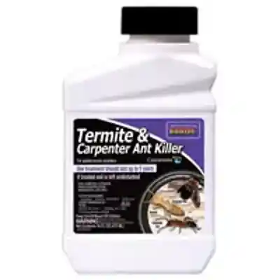 CNTRL TERMITE/ANT CONC 13.3 PT - Arlington Coal & Lumber