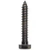 Main 1 - BOLT LAG BLACK 1/2X3IN - Arlington Coal & Lumber